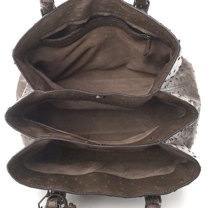 Bottega Veneta Ostrich Small Roma Tote Brown 5 of 12