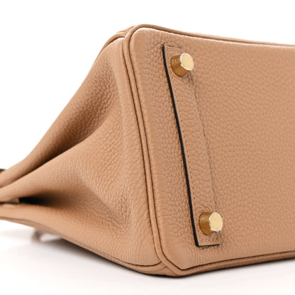 Hermes Togo Birkin 25 Chai 9 of 11