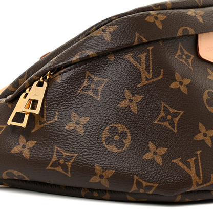 Louis Vuitton Monogram Bumbag 8 of 12