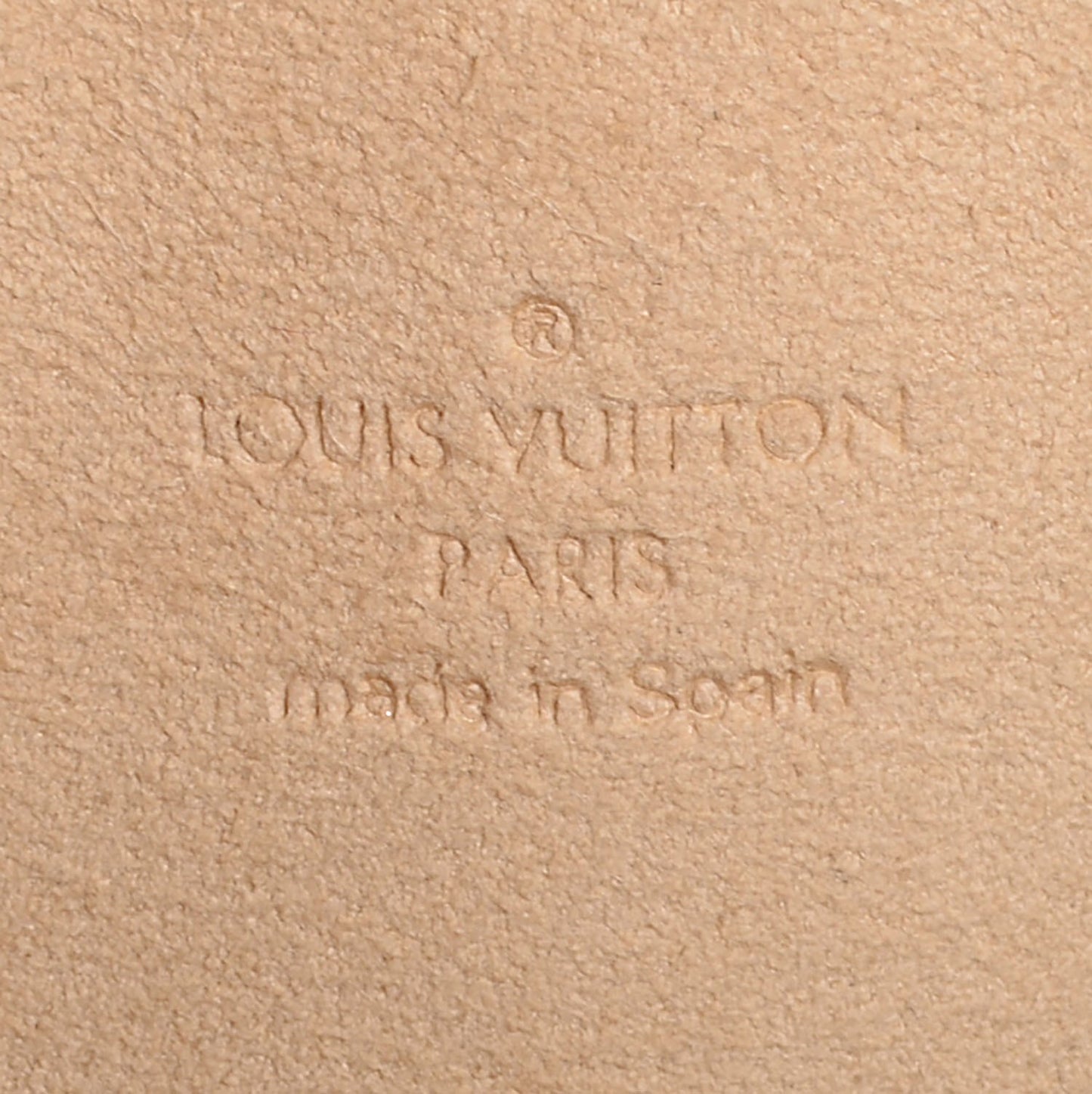 Monogram Pochette Twin PM