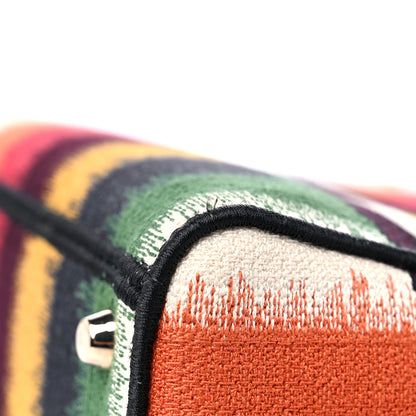 Christian Dior Canvas Medium D-Stripes Lady D-Lite Multicolor 9 of 10
