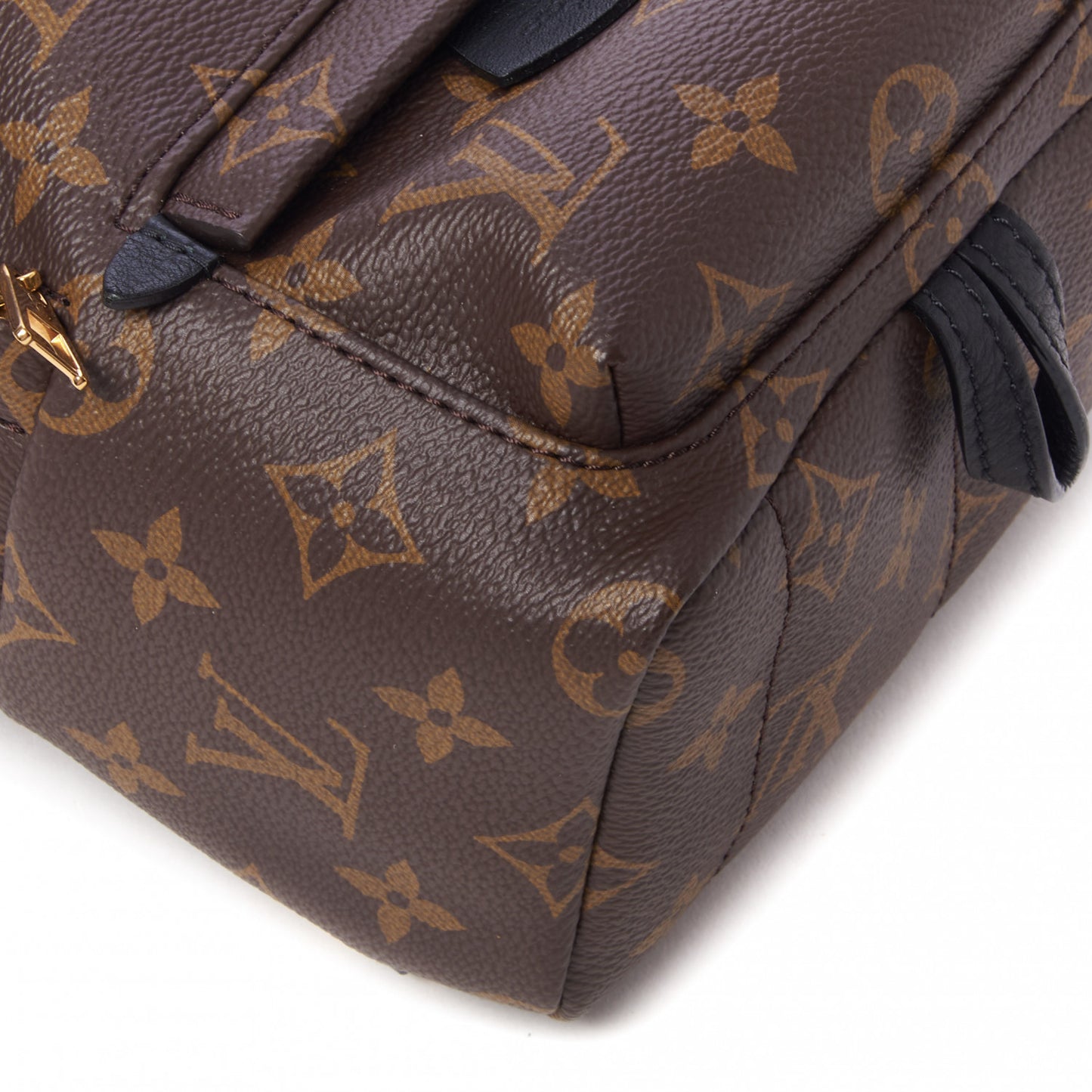 Monogram Palm Springs Backpack Mini