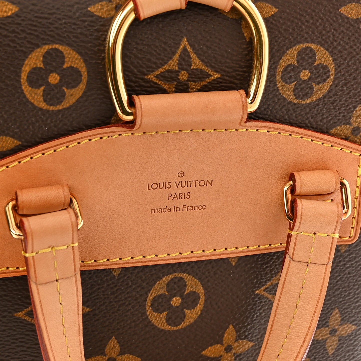 Monogram Montsouris NM Backpack