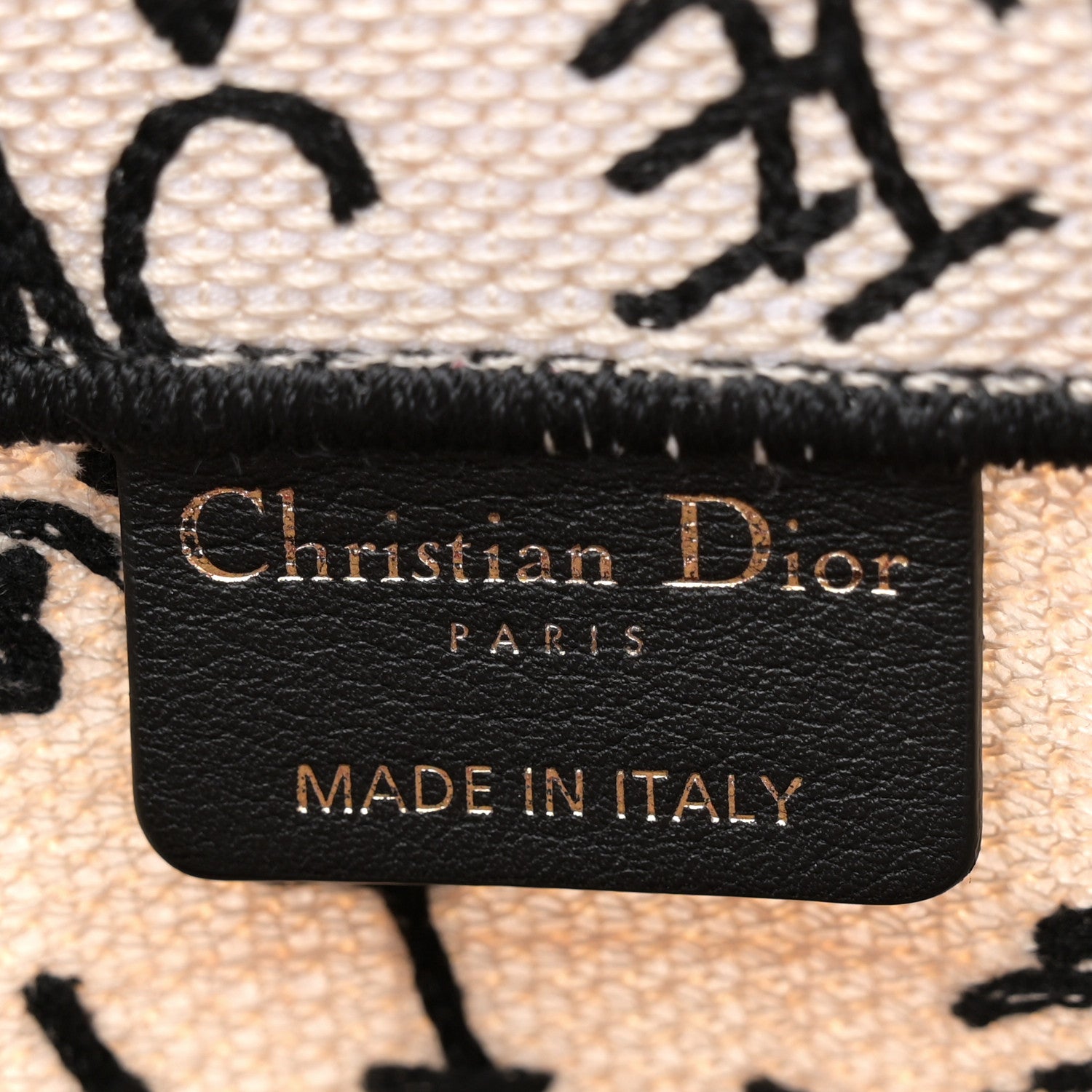 Christian Dior Canvas Embroidered Vertical Dioramour Graffiti Book Tote Latte Multicolor 6 of 11