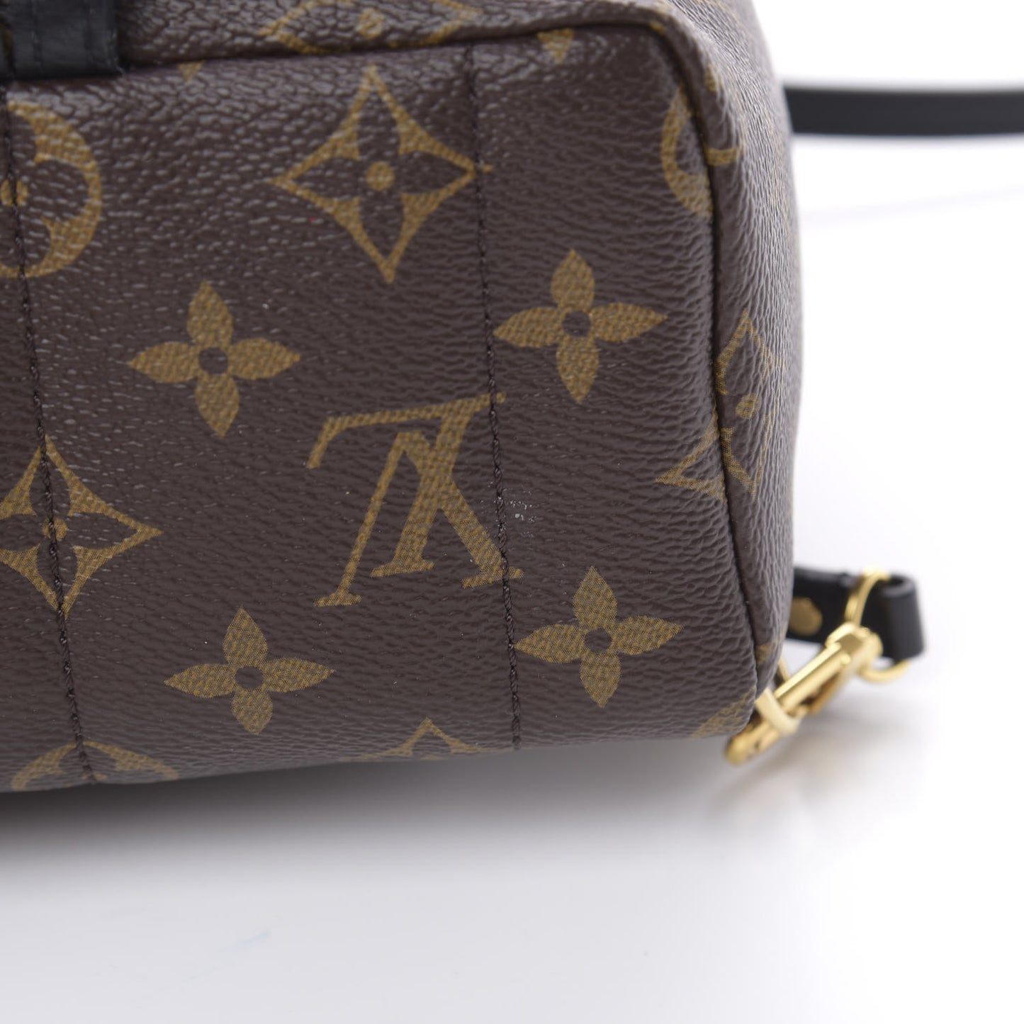 Monogram Palm Springs Backpack Mini
