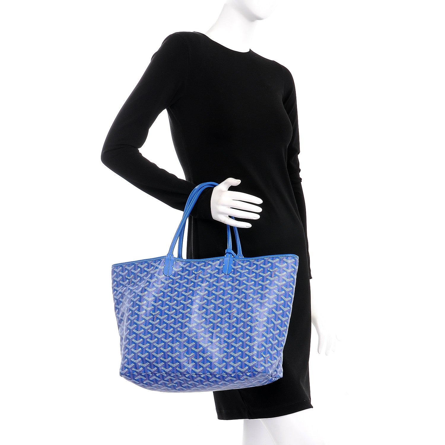 Goyard Goyardine Saint Louis PM Sky Blue 2 of 7