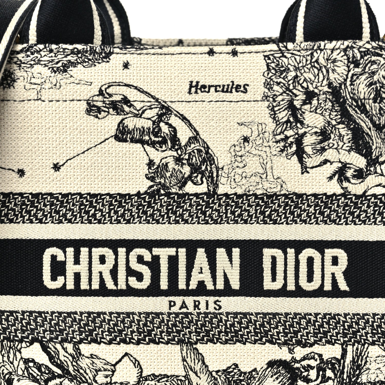 Christian Dior Calfskin Dioriviera Toile De Jouy Small Book Tote With Strap Latte Multicolor 6 of 9