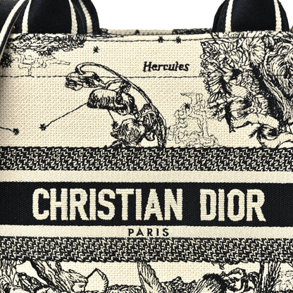 Christian Dior Calfskin Dioriviera Toile De Jouy Small Book Tote With Strap Latte Multicolor 6 of 9