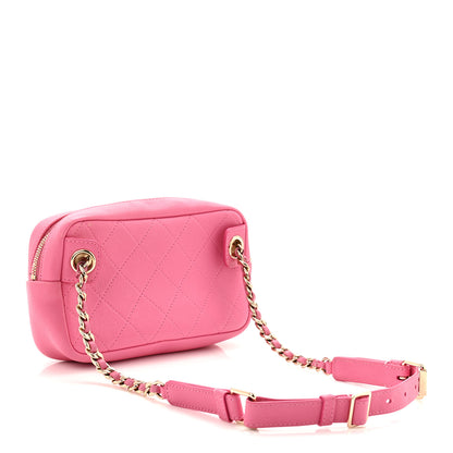 Chanel Goatksin Quilted Casual Trip Waist Bag Pink 3 of 11