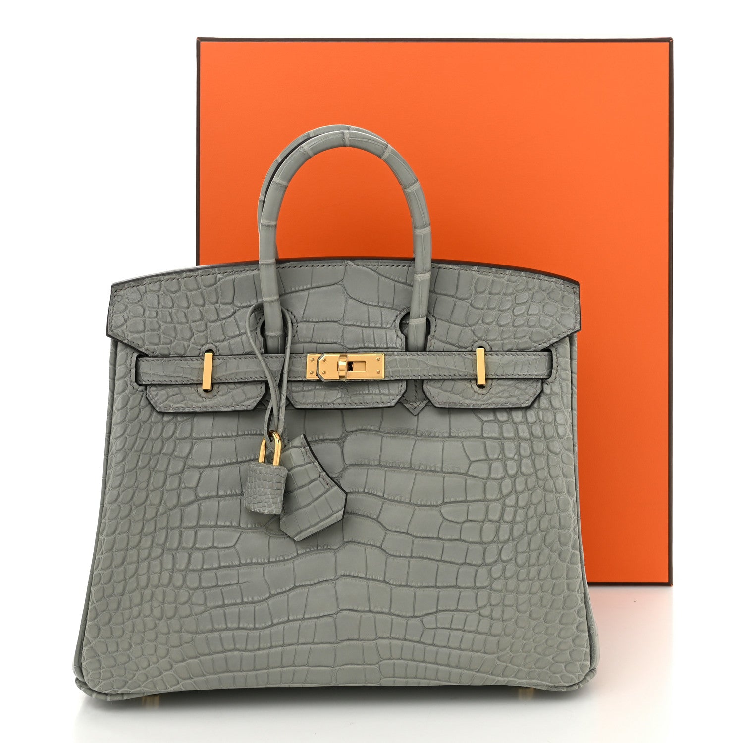 Hermes Matte Alligator Birkin 25 Gris Ciment 11 of 11