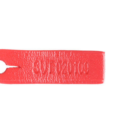 Goyard Goyardine Saint Louis GM Red 8 of 12