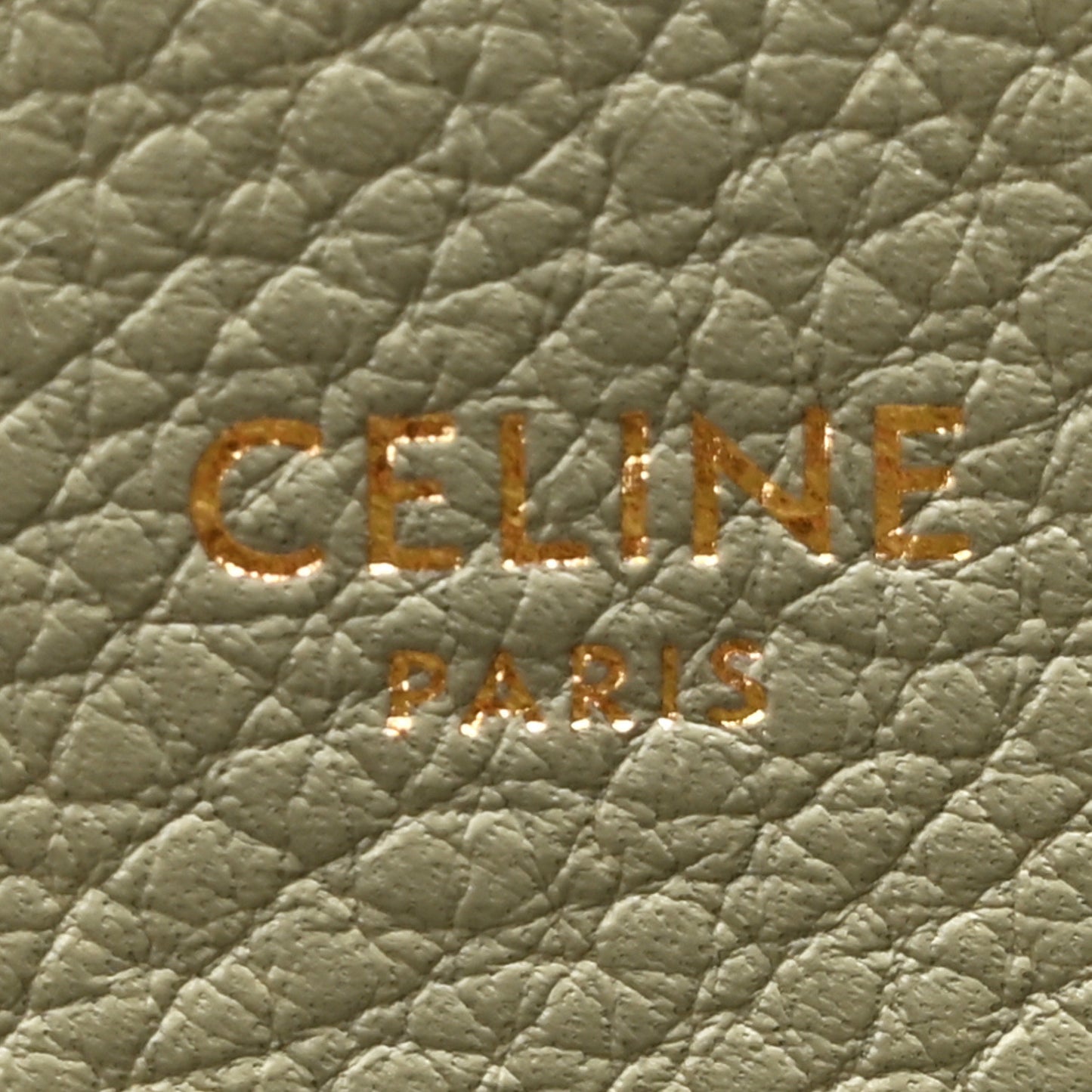 Supple Calfskin Medium Appoline Green Clay