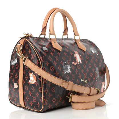 Louis Vuitton Catogram Speedy Bandouliere 30 Marron 3 of 10