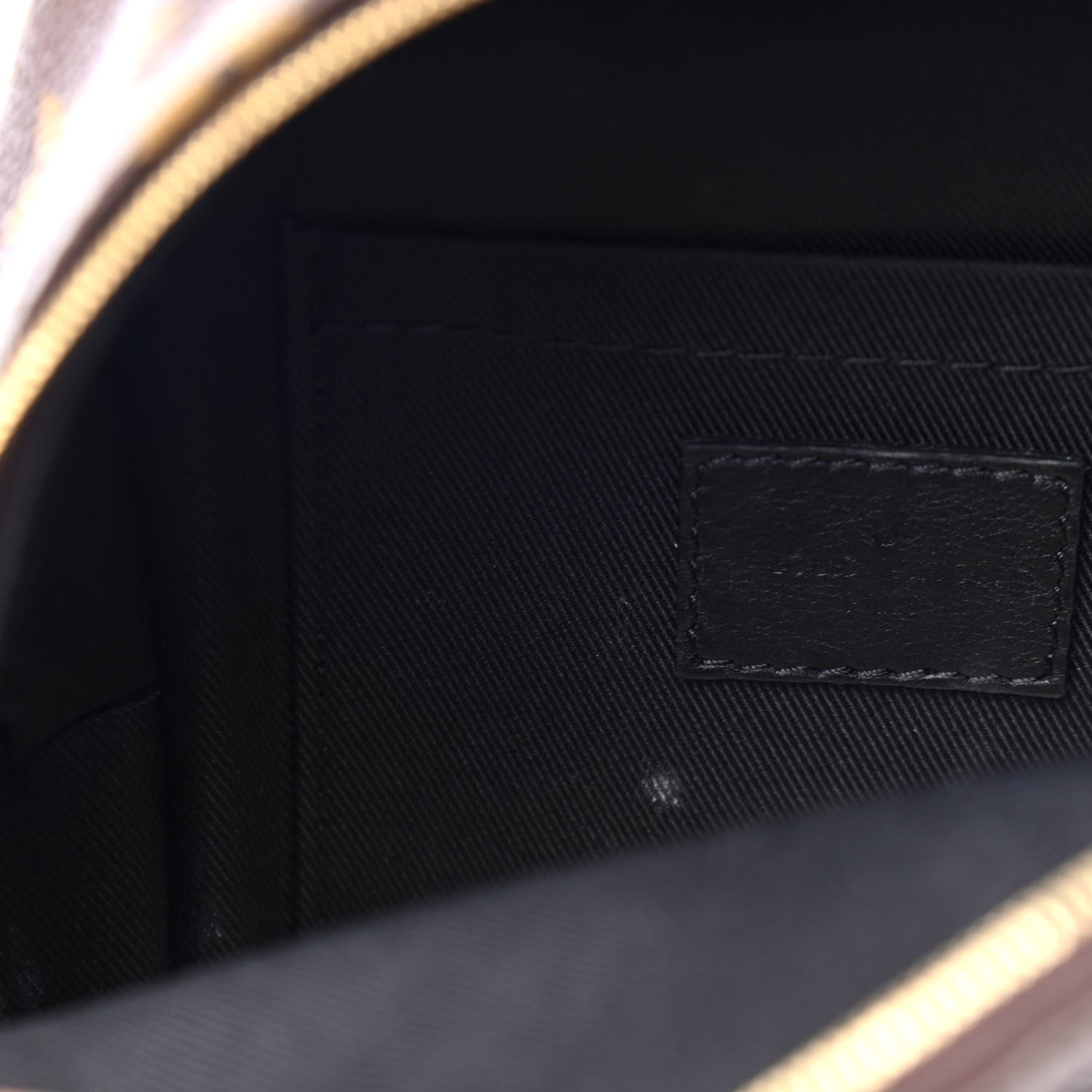 Louis Vuitton Monogram Palm Springs Backpack Mini 5 of 5