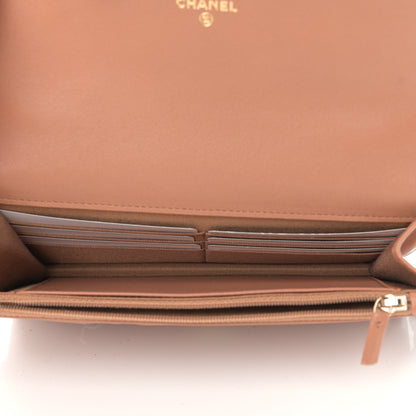Chanel Lambskin Quilted Chanel 19 Wallet On Chain WOC Brown 5 of 14