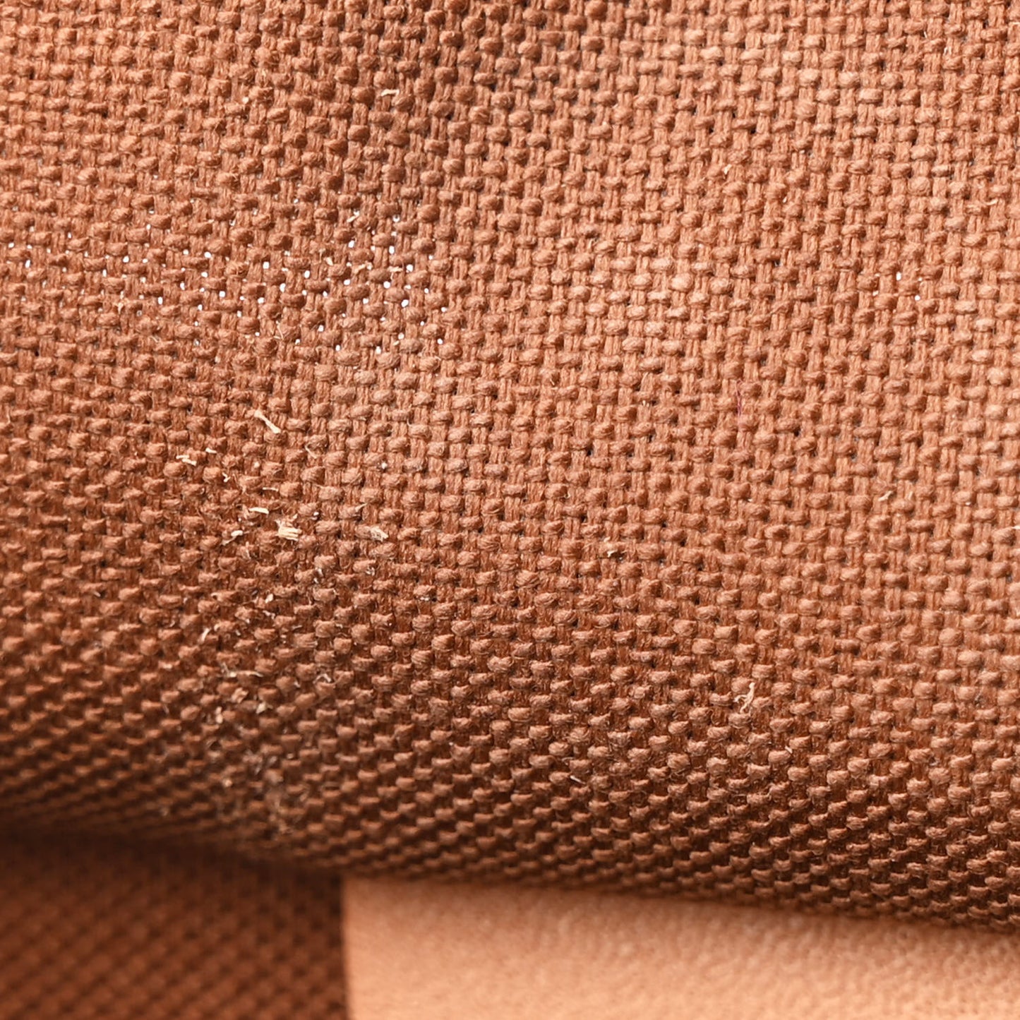 Monogram Speedy Bandouliere 25