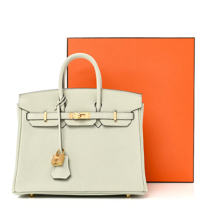 Hermes Togo Birkin 25 Gris Neve 11 of 11