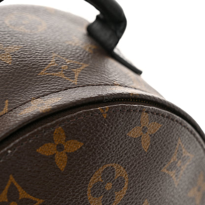 Louis Vuitton Monogram Palm Springs Backpack Mini 10 of 11