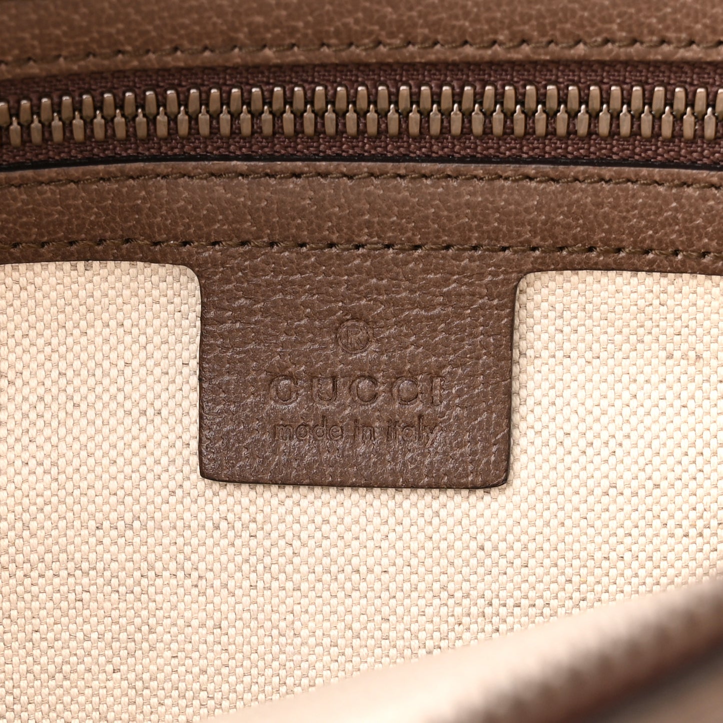 GG Supreme Monogram Web Small Ophidia Half Moon Hobo Brown
