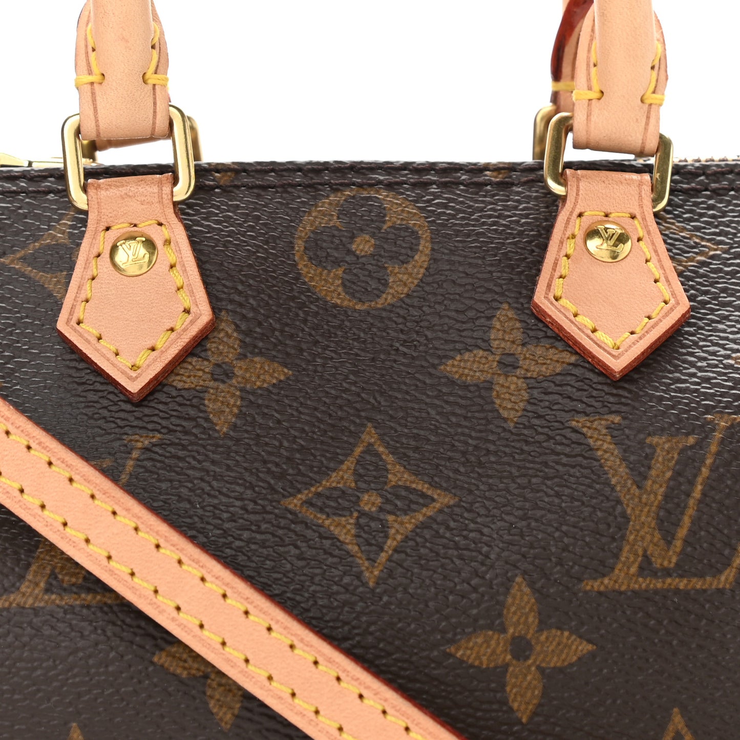 Monogram Nano Speedy