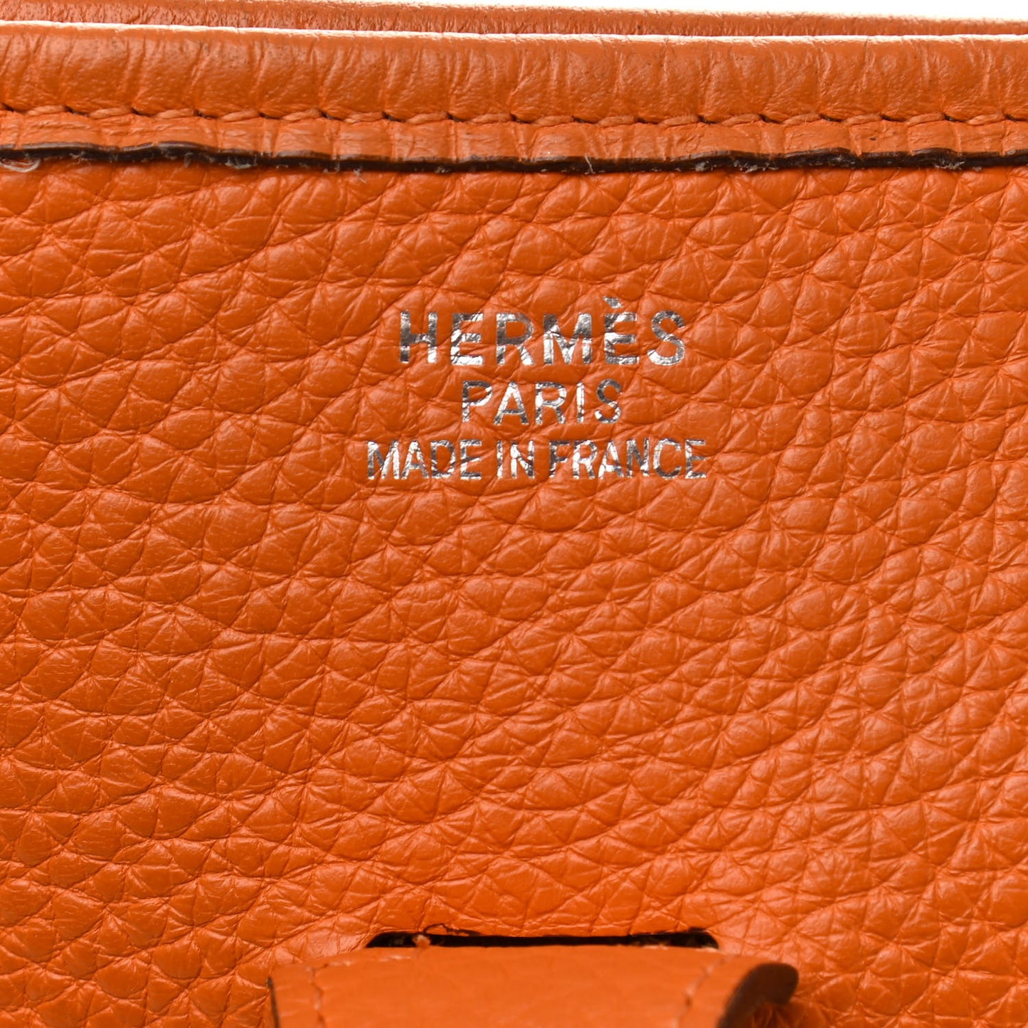 Taurillon Clemence Evelyne PM Orange
