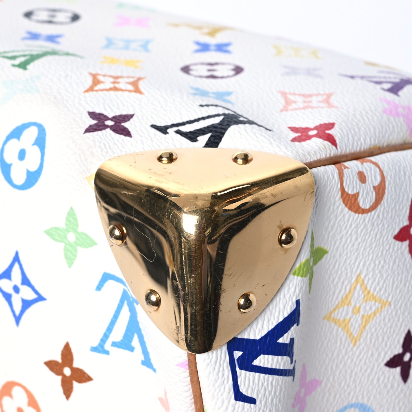 Monogram Multicolor Speedy 30 White