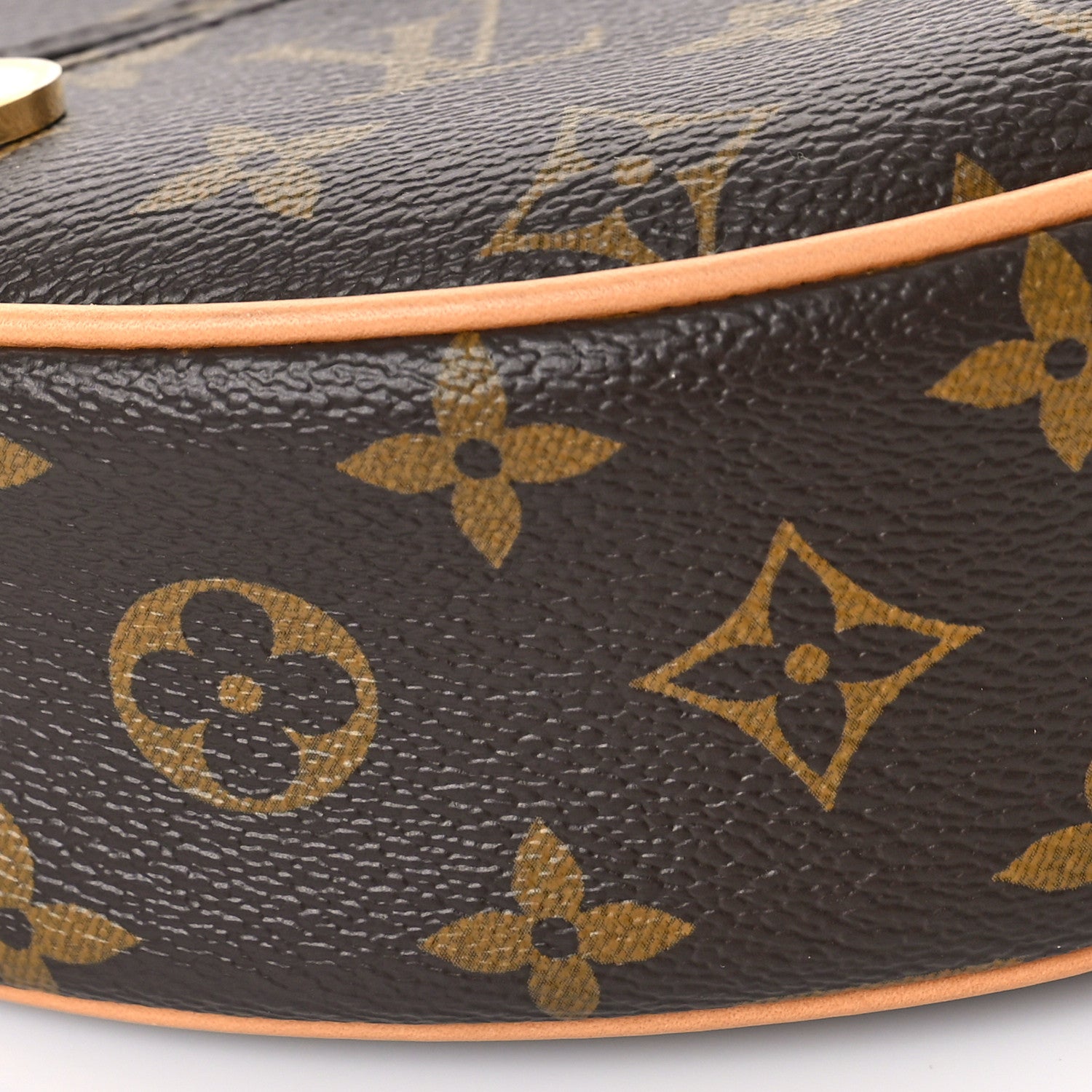 Louis Vuitton Monogram Loop 7 of 8