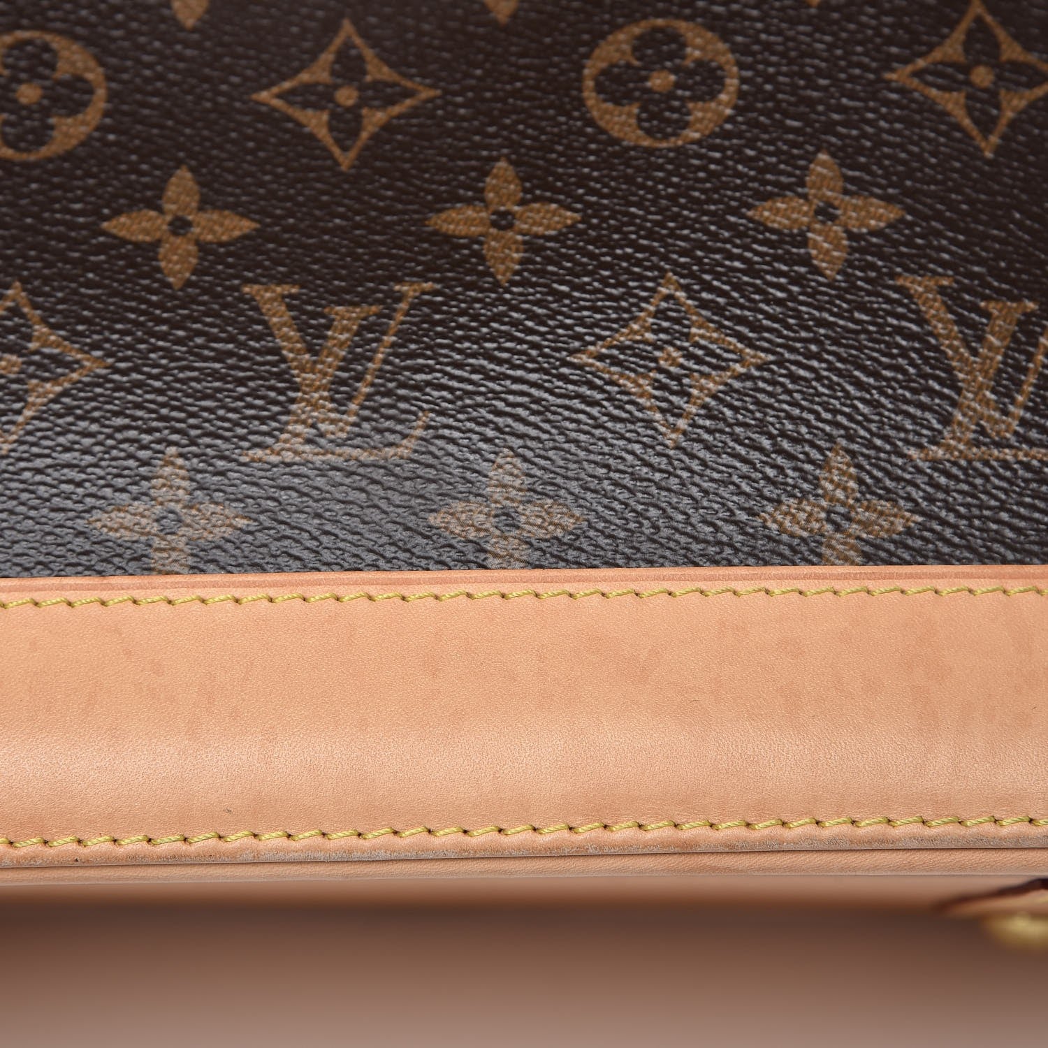 Louis Vuitton Monogram Alma MM 10 of 15
