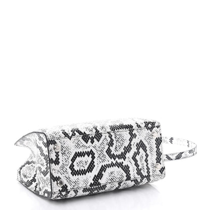 Louis Vuitton Python City Steamer PM Black White 5 of 11