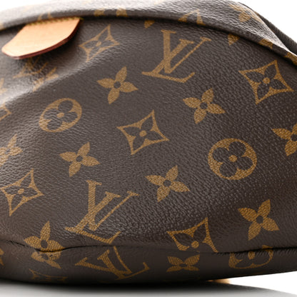 Louis Vuitton Monogram Bumbag 9 of 12