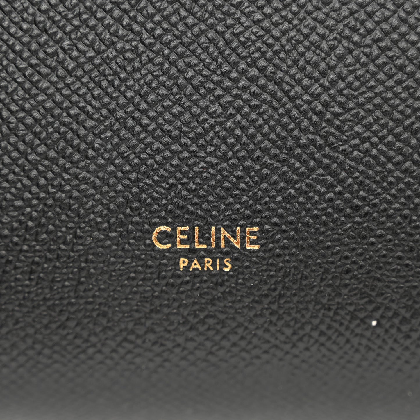 Grained Calfskin Nano Belt Bag Black