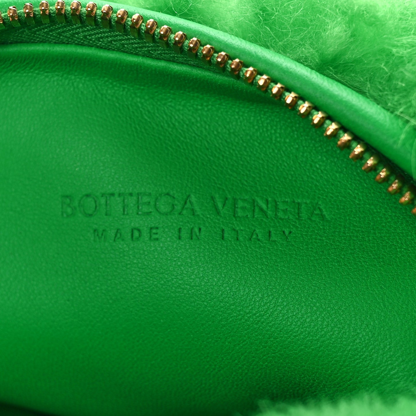 Shearling Mini Jodie Parakeet