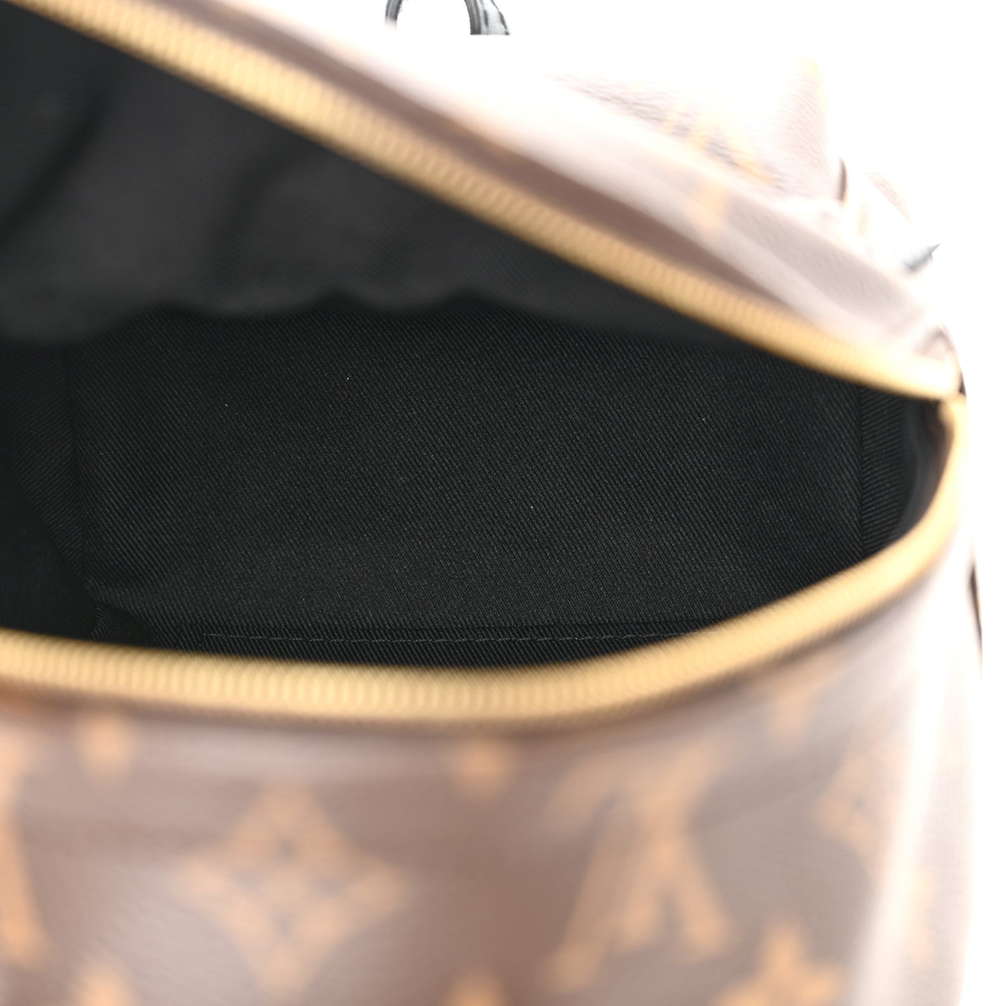 Monogram Palm Springs Backpack Mini