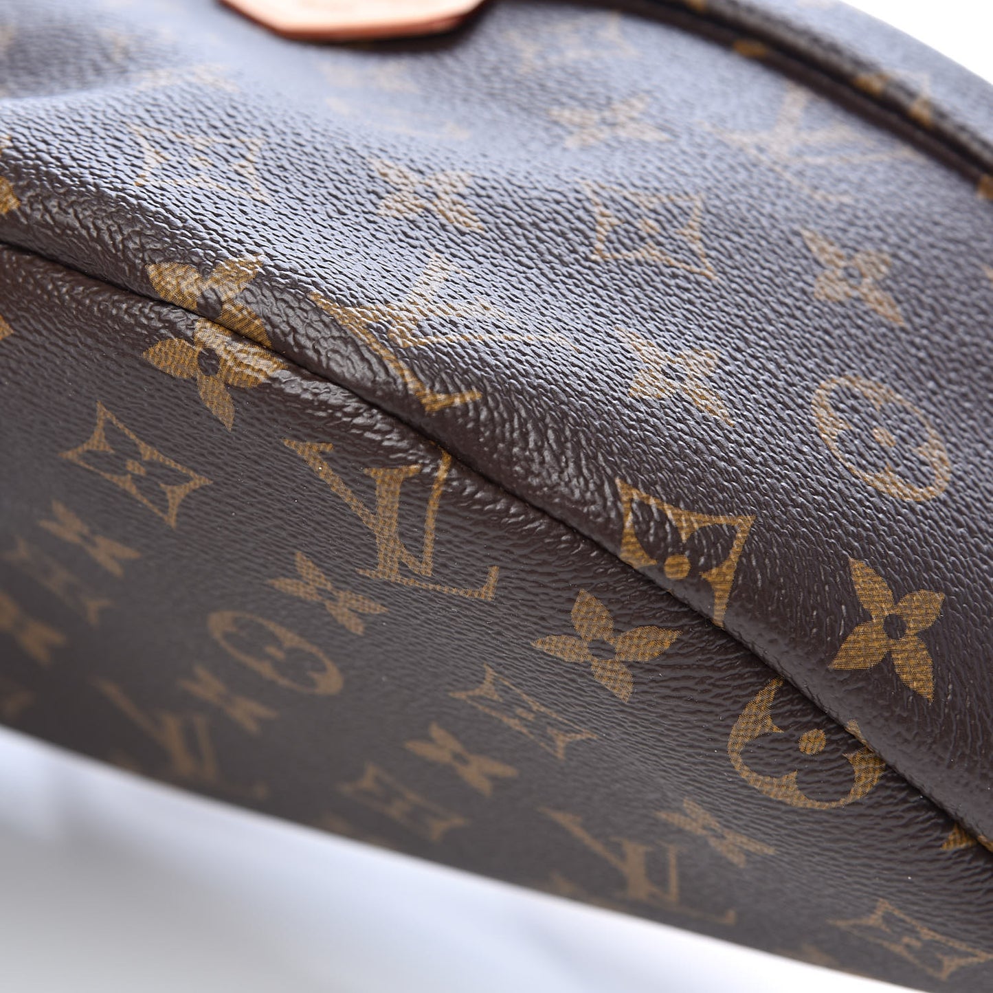 Monogram Bumbag