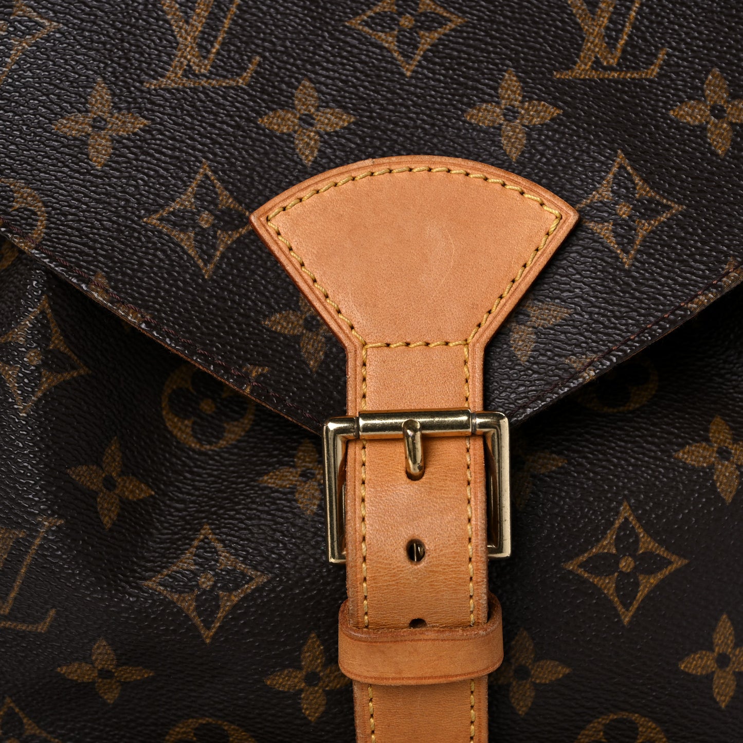 Monogram Montsouris GM Backpack
