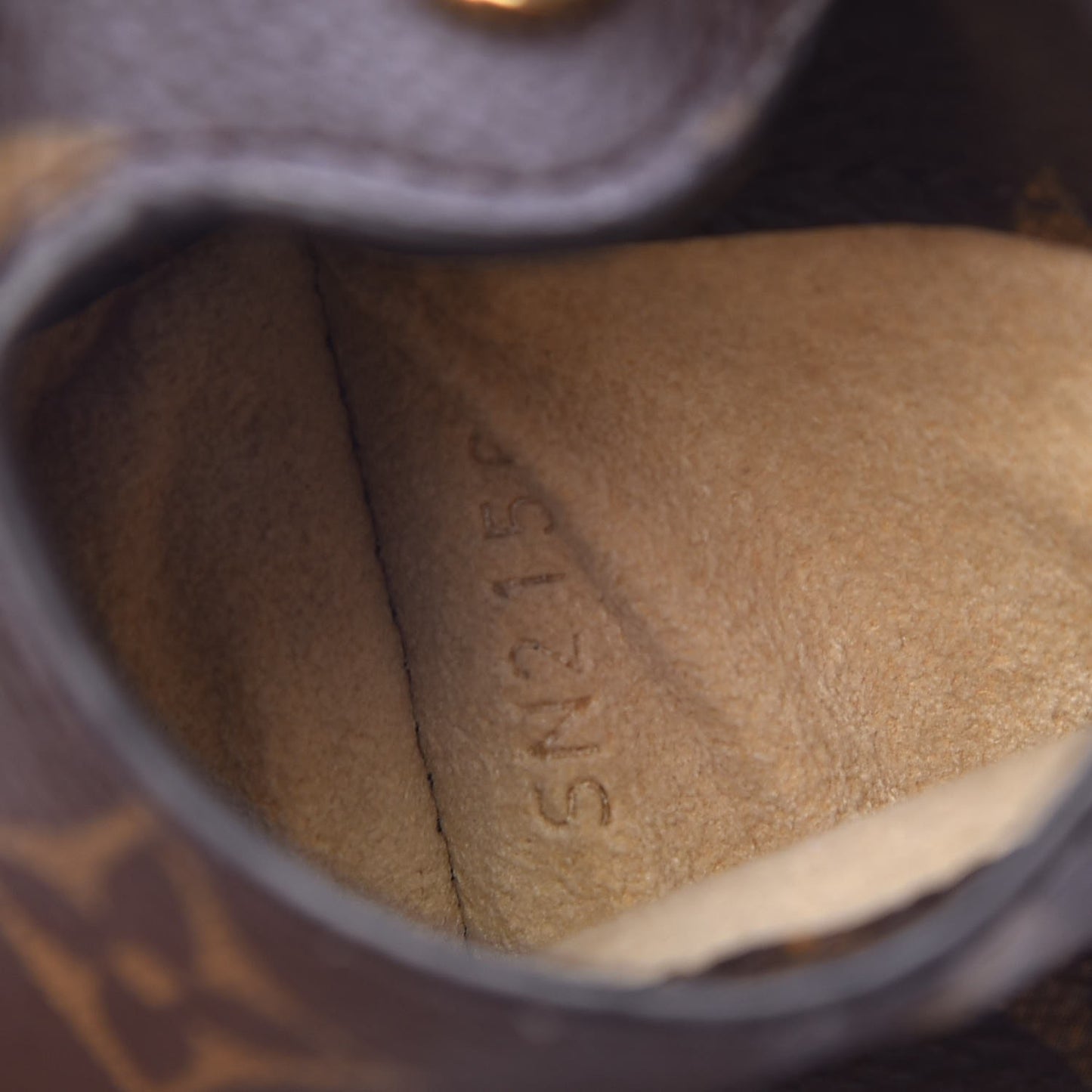 Monogram Sunglasses Case MM