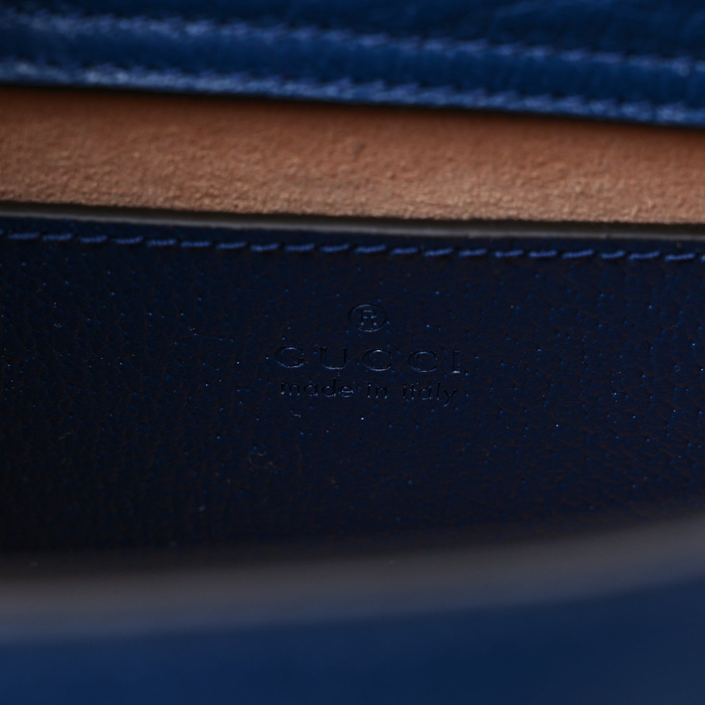 Textured Dollar Calfskin Web Mini Diana Tote Bag Royal Crop