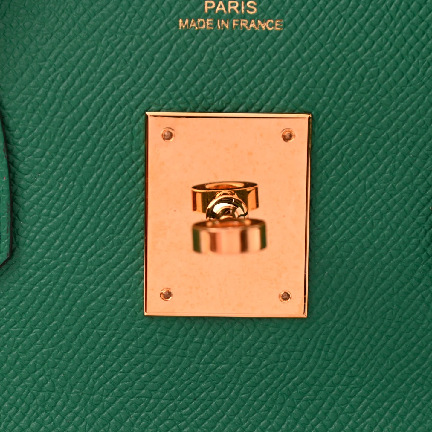 Epsom Birkin 30 Vert Vertigo
