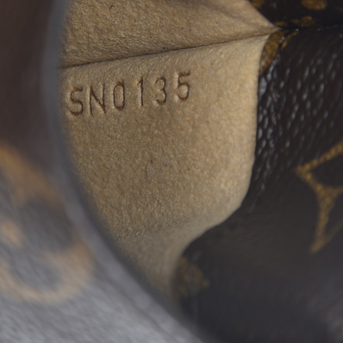 Monogram Sunglasses Case MM