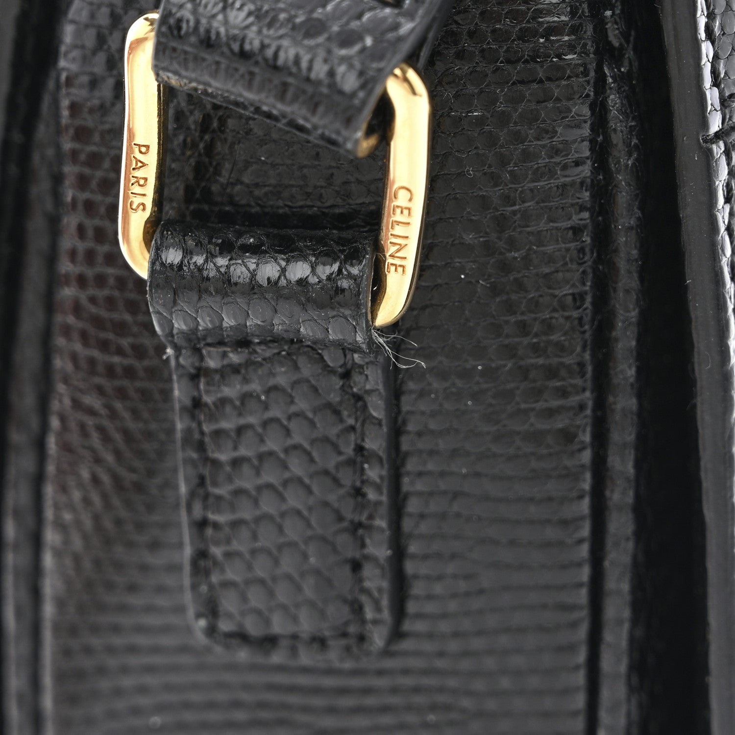 Celine Lizard Teen Triomphe Black 12 of 12