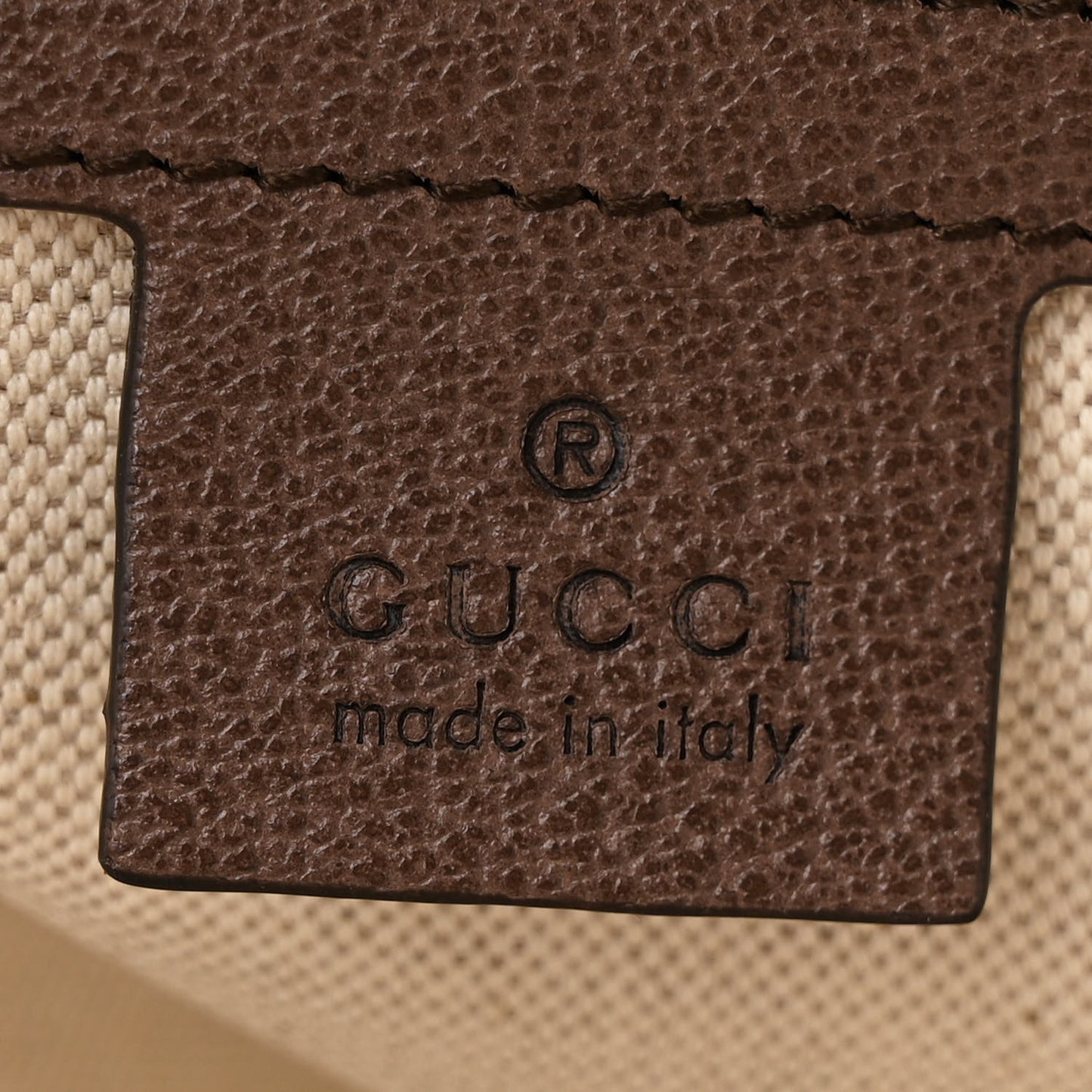 GG Supreme Monogram Medium Ophidia Day Backpack Brown