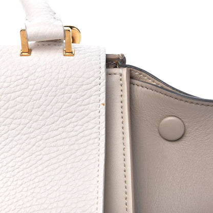 Celine Bullhide Calfskin Small Tri-Color Trapeze 12 of 12