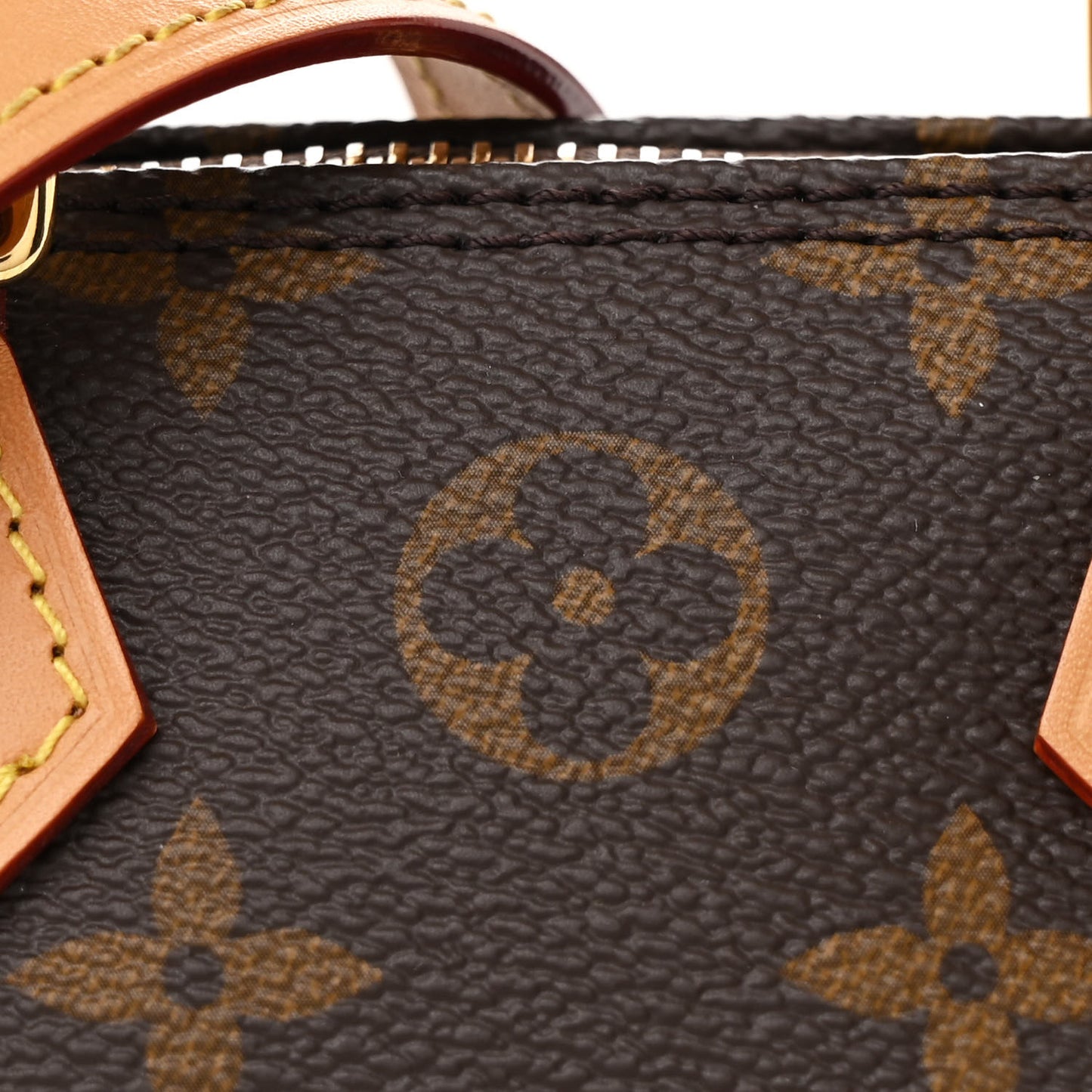 Monogram Nano Speedy Bandouliere