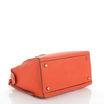 Celine Bullhide Calfskin Small Ring Handbag Burnt Orange 4 of 6