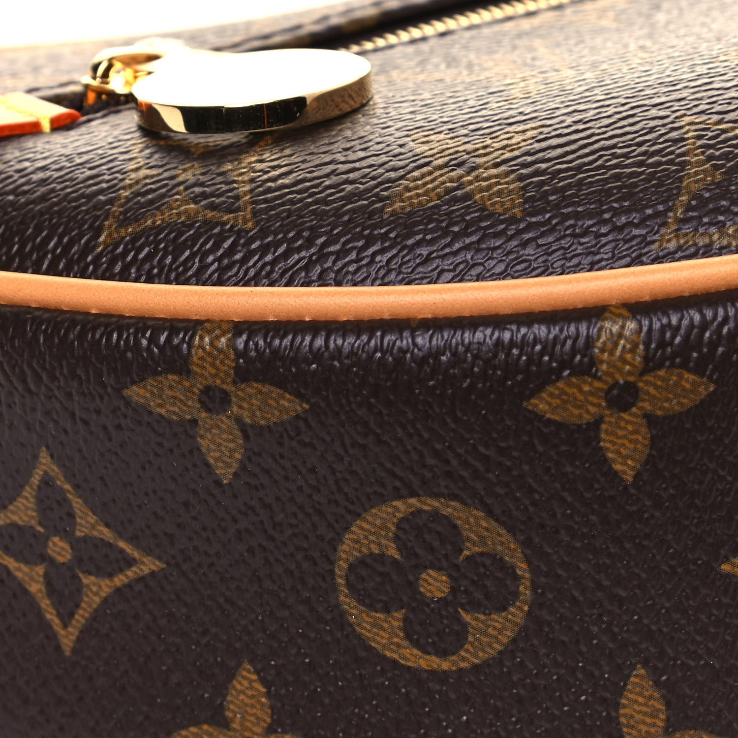 Louis Vuitton Monogram Loop 8 of 12