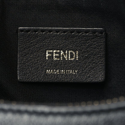 Fendi Vitello Grace Matte Small Fendigraphy Hobo Bag Black 5 of 9