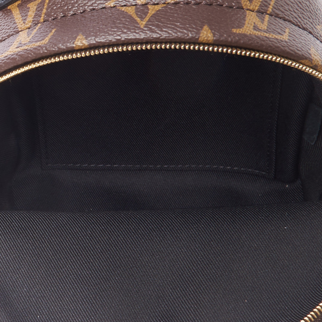 Louis Vuitton Monogram Palm Springs Backpack Mini 7 of 9