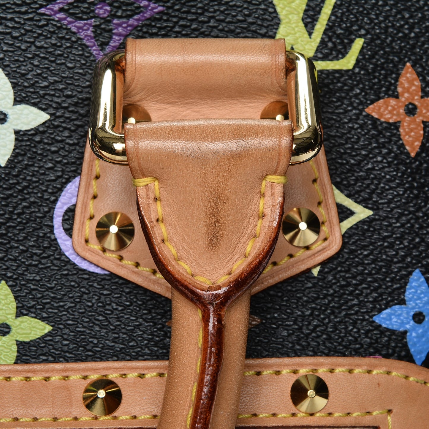 Monogram Multicolor Alma Black