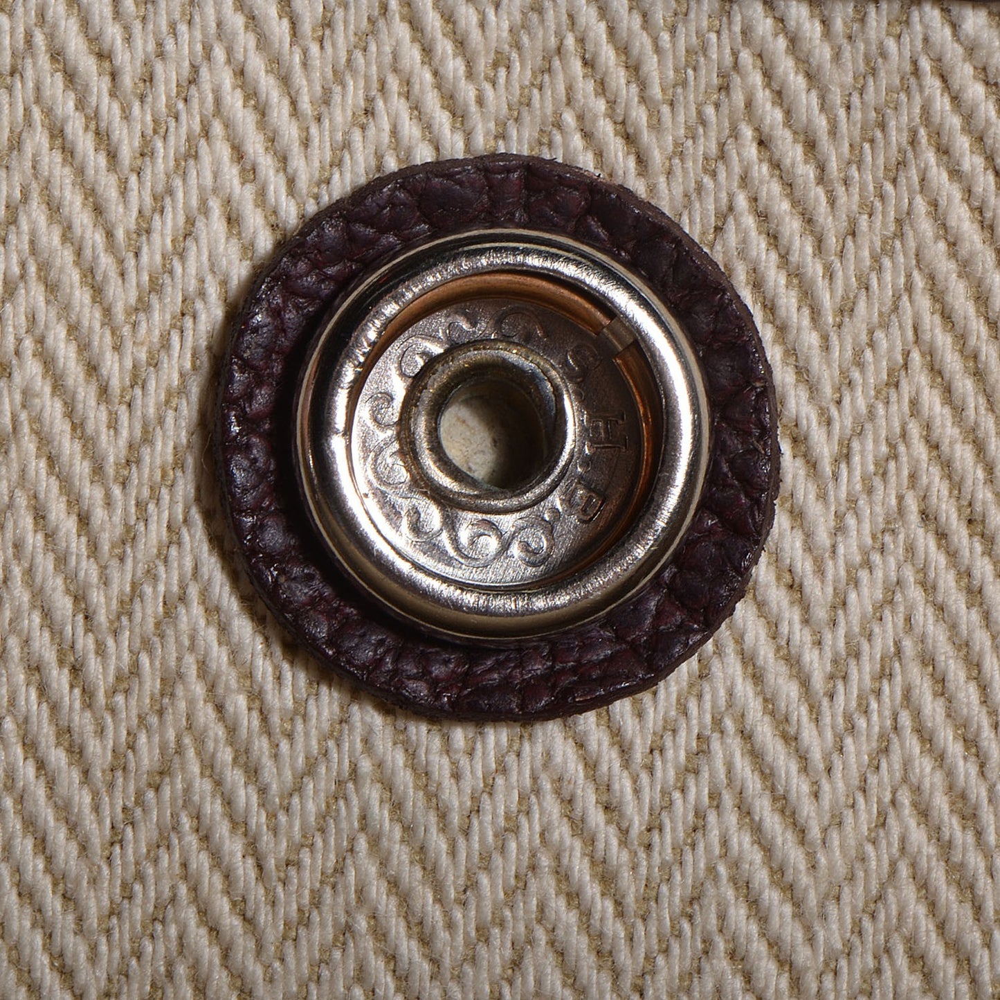 Amazonia Buffle Skipper Garden Party 36 MM Havane