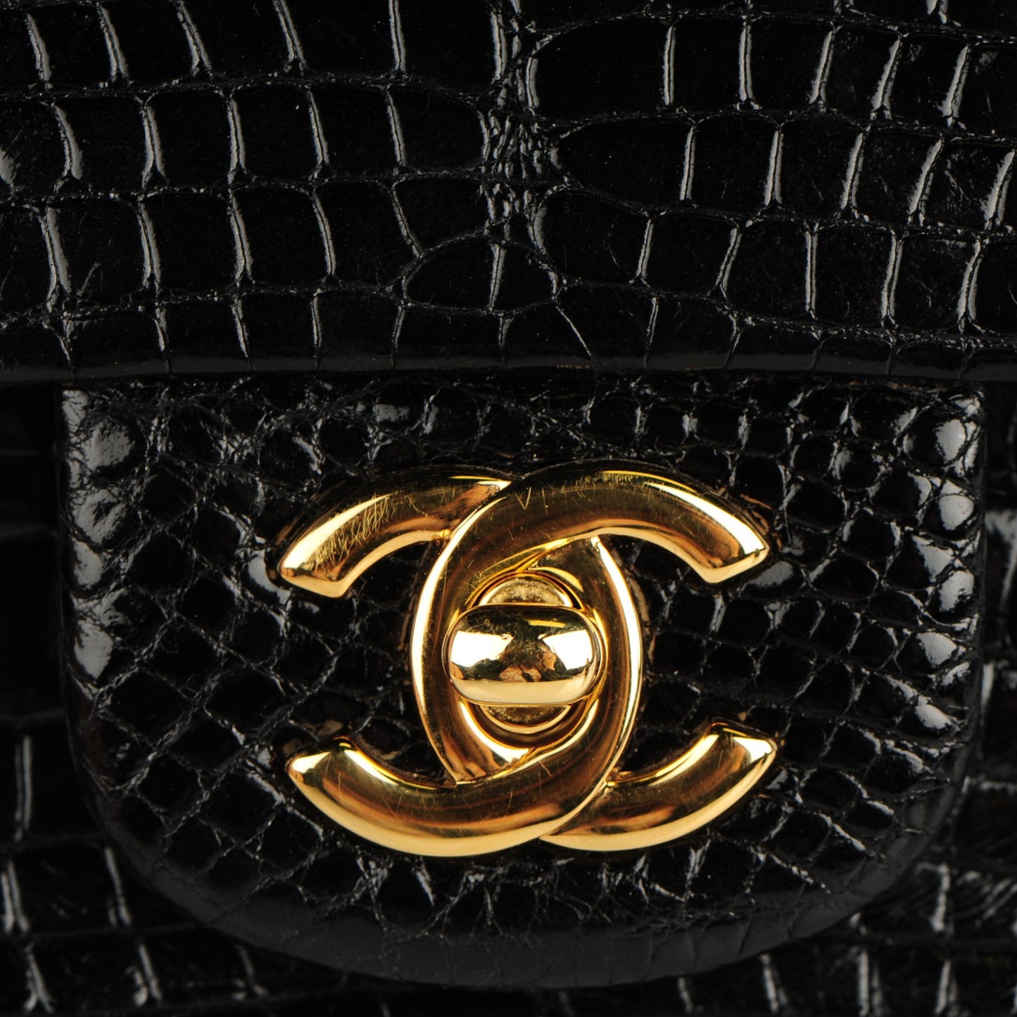 Alligator Medium Double Flap Black